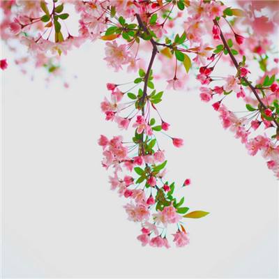 十大正规彩票网站